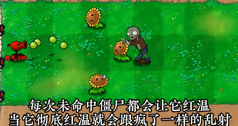 植物介绍1
