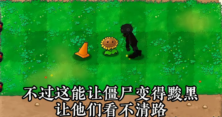 植物介绍3