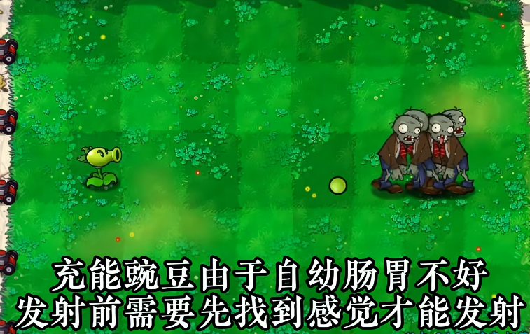 植物介绍4