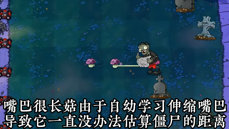 植物介绍5