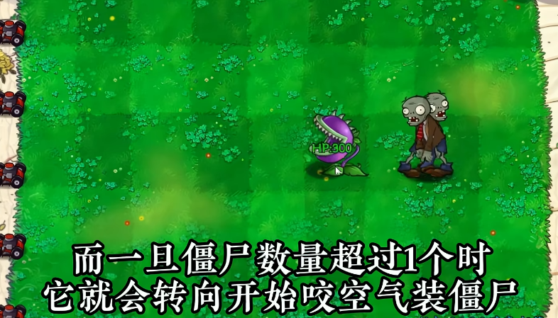 植物介绍6